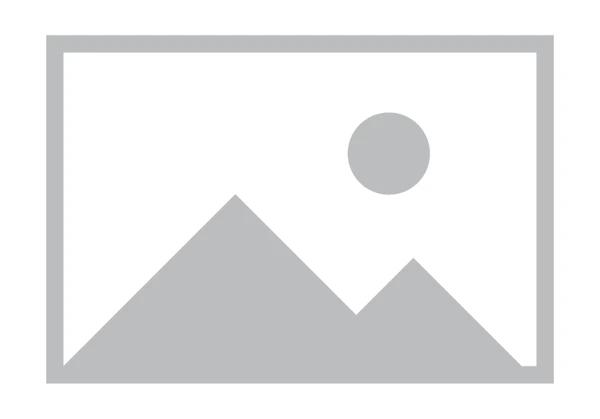 Silaturrahmi Saudagar Z-Chicken